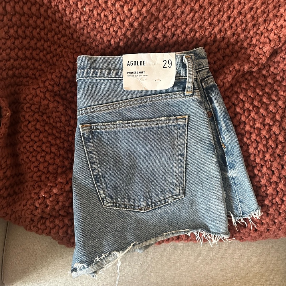 Agolde Vintage Cutoff Denim Shorts in Chorus